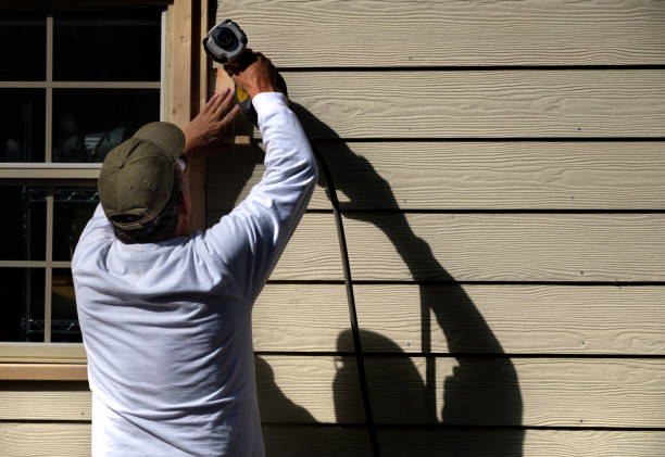 Best Stone Veneer Siding  in Osceola, MO
