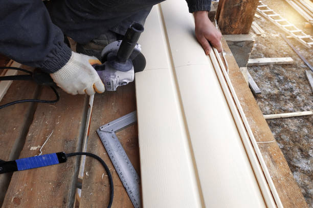 Best Siding Removal and Disposal  in Osceola, MO