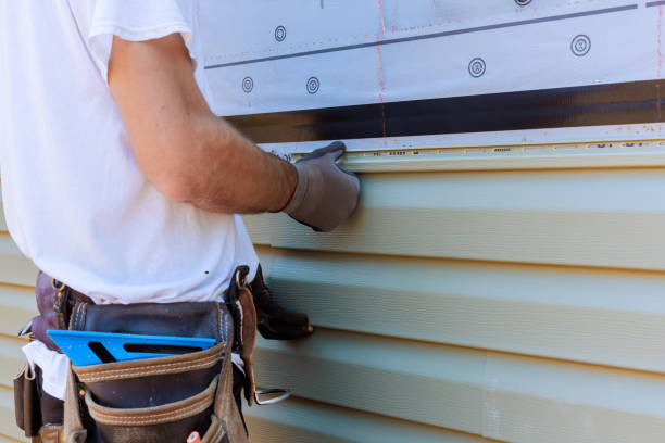 Best Fascia and Soffit Installation  in Osceola, MO