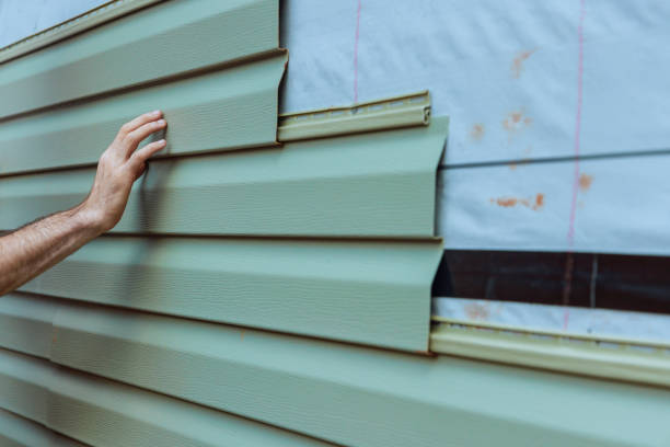 Best Custom Trim and Detailing for Siding  in Osceola, MO
